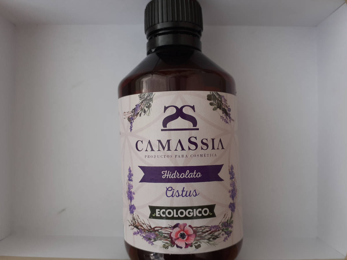 Camassia_agua jara.jpg Camassia_agua jara