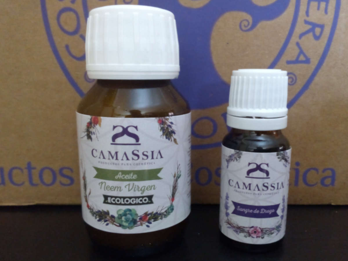 Camassia_sep19_parte3.jpg Camassia_sep19_parte3